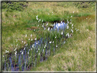 foto Laghi dei Lasteati